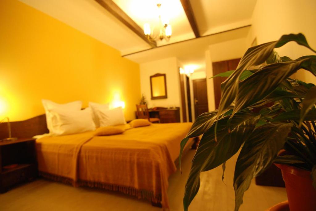 Ezio House Otel Timisu de Jos Dış mekan fotoğraf