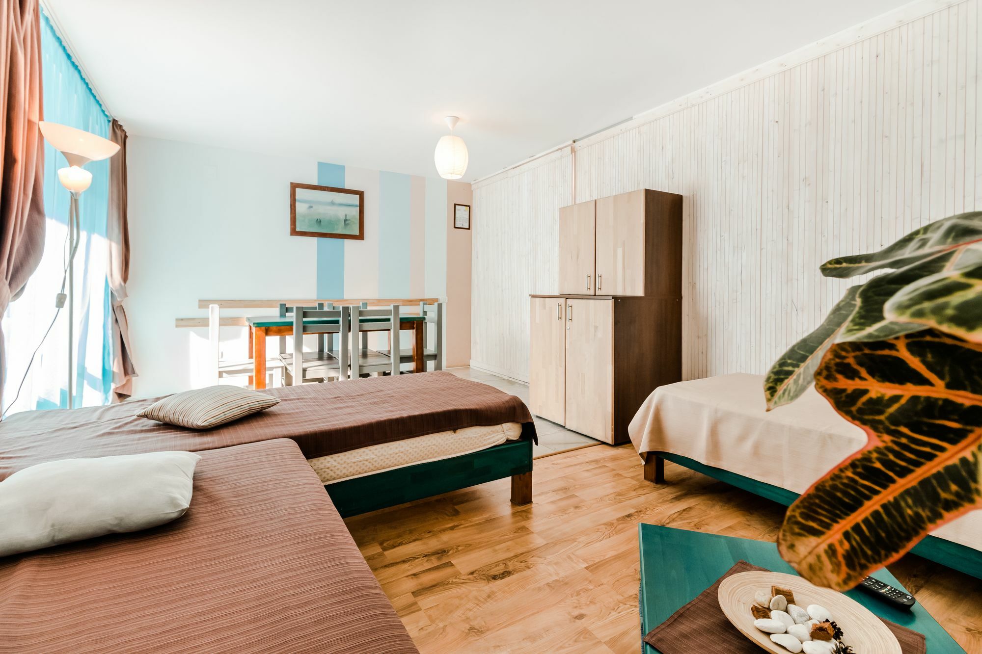 Ezio House Otel Timisu de Jos Dış mekan fotoğraf